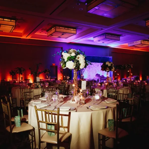 how-to-design-plan-the-perfect-gala-dinner